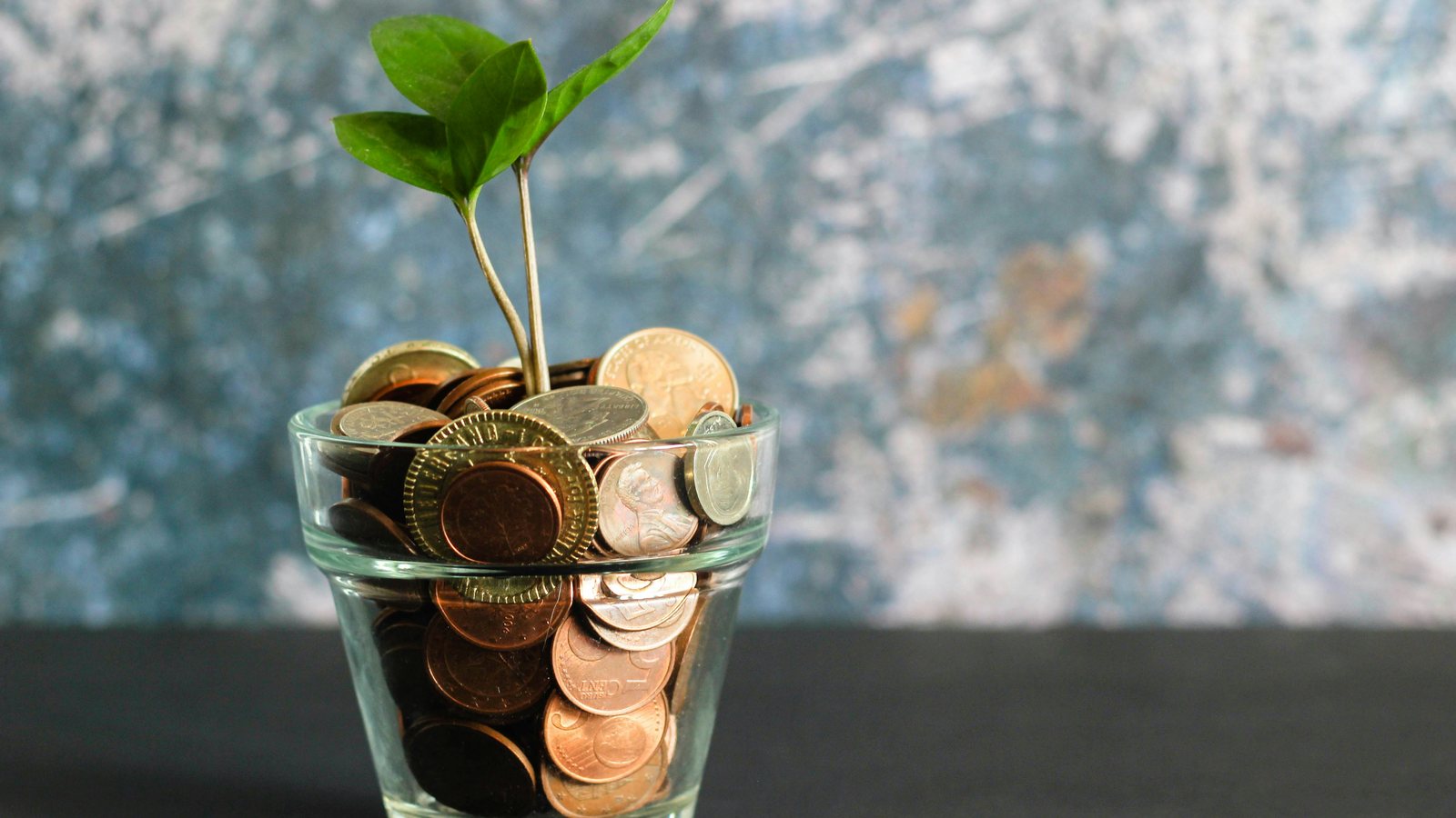 Glazen potje gevuld met munten waaruit een jong plantje groeit